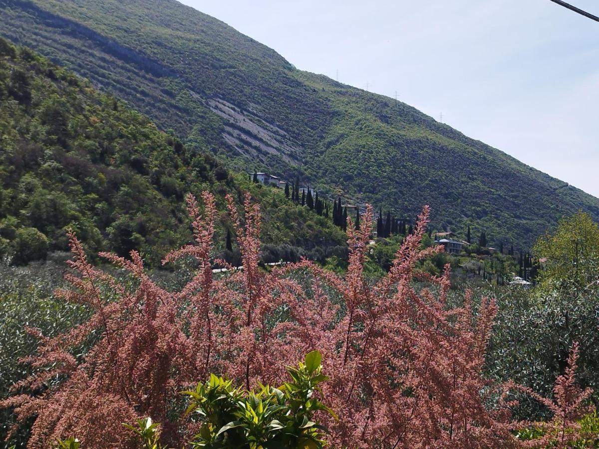 Casa Di Nin Appartement Torbole Sul Garda Buitenkant foto