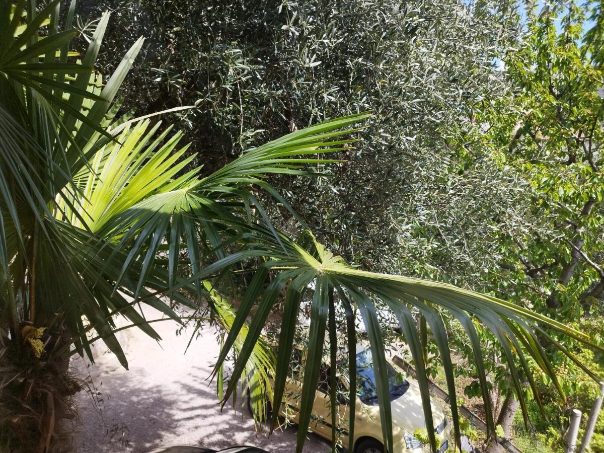Casa Di Nin Appartement Torbole Sul Garda Buitenkant foto