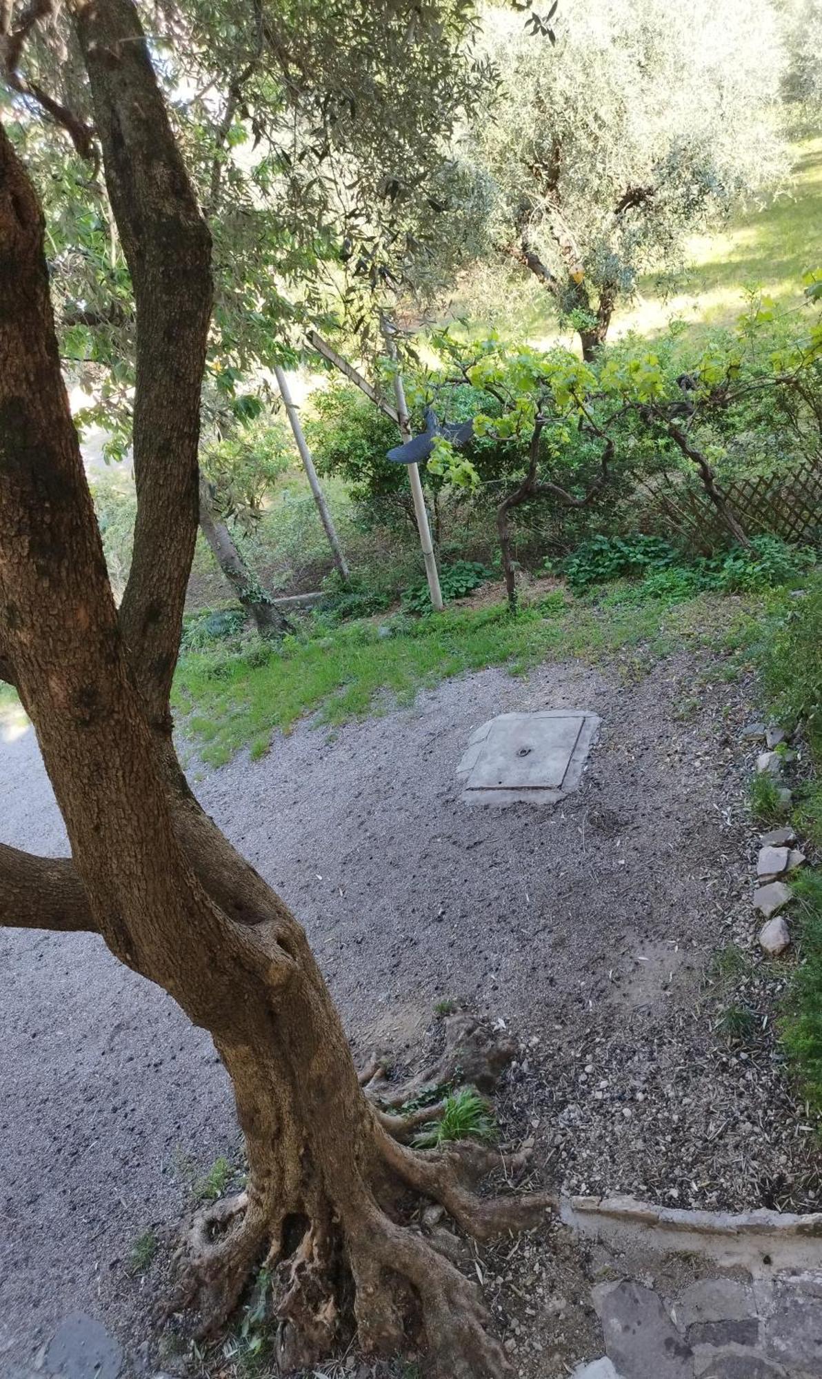 Casa Di Nin Appartement Torbole Sul Garda Buitenkant foto